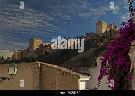 Le château maure de l'Alhambra, Grenade, Espagne, low angle view Banque D'Images