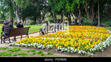 Des gens assis sur des bancs de parc à côté d'un parterre de fleurs à Hyde Park Sydney NSW Australie. Banque D'Images