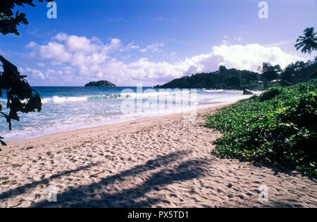 Plage tropicale avec palmiers à Anse Boileau, l'île de Mahé, Seichelles Banque D'Images