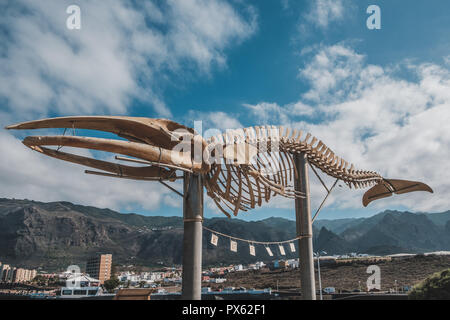 Tenerife, Espagne - septembre 2018 : squelette de baleine en Los Silos sur Tenerife, Îles Canaries Banque D'Images