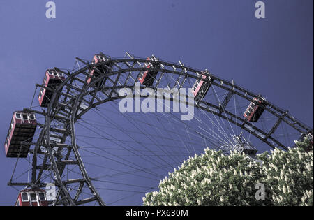 Ferry géant volant, châtaignes au printemps, l'Autriche, Vienne, 2 district, Prater. Banque D'Images