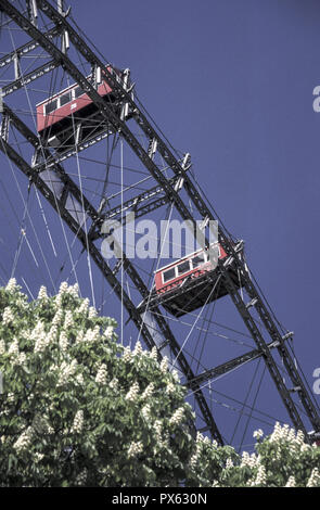 Ferry géant volant, châtaignes au printemps, l'Autriche, Vienne, 2 district, Prater. Banque D'Images