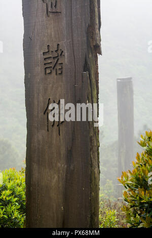 En bois hautes stèles au chemin de sagesse, Lantau Island, Hong Kong, Chine. Banque D'Images