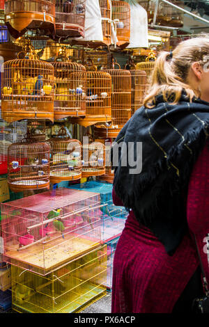 Yuen Po Street Bird Garden market, Mongkok, Kowloon, Hong Kong, Chine. Banque D'Images