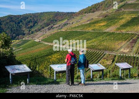 Mayschoss, vallée de l'Ahr, Allemagne. 10-17-2018. L'étude de couple les panneaux d'informations à propos de la viticulture le long de la rouge populaires-wine-trail (Rotweinwanderw Banque D'Images