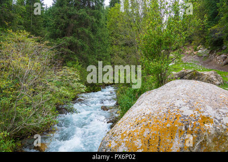 Petite rivière de montagne turbulent avec une énorme pierre ovale, au Kirghizistan. Banque D'Images