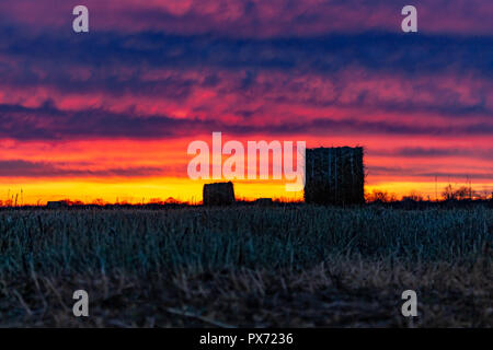 Champ avec de l'herbe sèche tondu sur l'arrière-plan d'un incroyable coucher du soleil. L'herbe est recueilli dans les meules. Banque D'Images