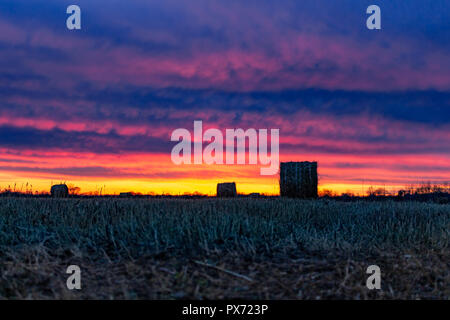 Champ avec de l'herbe sèche tondu sur l'arrière-plan d'un incroyable coucher du soleil. L'herbe est recueilli dans les meules. Banque D'Images