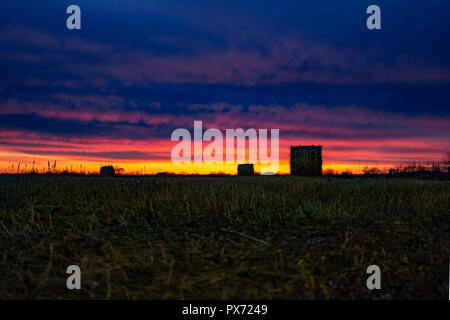 Champ avec de l'herbe sèche tondu sur l'arrière-plan d'un incroyable coucher du soleil. L'herbe est recueilli dans les meules. Banque D'Images