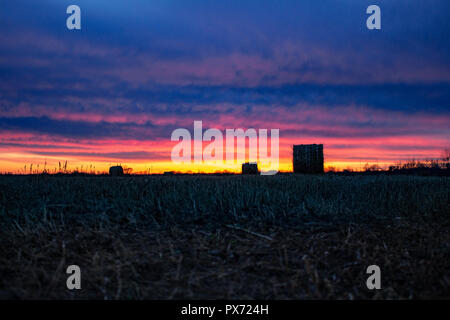 Champ avec de l'herbe sèche tondu sur l'arrière-plan d'un incroyable coucher du soleil. L'herbe est recueilli dans les meules. Banque D'Images