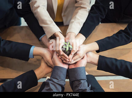 L'unité d'affaires protéger de petites mains avec Sprout Banque D'Images