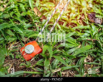 Piquet de tente rouge fort tenant une corde dans une masse d'herbe verte. Banque D'Images