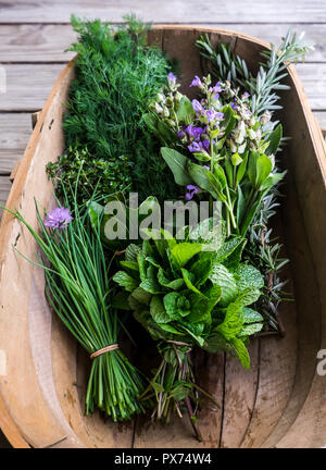 Des herbes fraîches du jardin dans le panier en bois : ciboulette, menthe, thym, romarin, aneth, sauge à fleurs violettes comestibles Banque D'Images