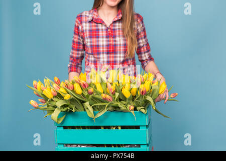 Boîte en bois avec des tulipes et des femmes sur fond bleu jardinier Banque D'Images