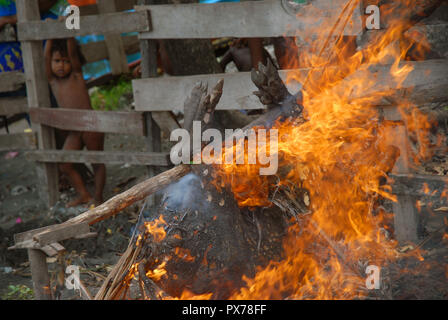 Le feu pour brûler la fourrure d'un nouveau porc abattu, Honiara, Îles Salomon. Banque D'Images