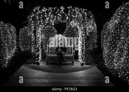 Femme assise seule sur le banc de parc holdling ; parapluie claire entre les lumières de Noël (B&W) - North Carolina Arboretum, Asheville, Caroline du Nord, États-Unis Banque D'Images