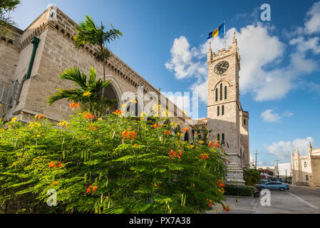 Bridgetown, Barbade - le 18 décembre 2016 : Parlement européen à Bridgetown, Barbade, Caraïbes. Fleurs en premier plan. Banque D'Images