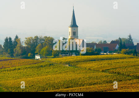 Vignobles pittoresques en couleurs de l'automne, Ballrechten-Dottingen village en arrière-plan, Baden Württemberg. L'Allemagne. Banque D'Images