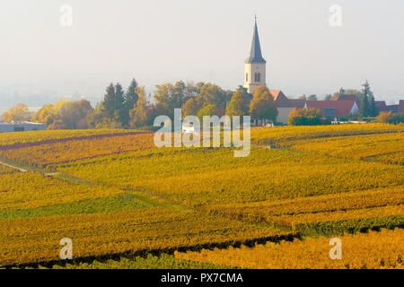 Vignobles pittoresques en couleurs de l'automne, Ballrechten-Dottingen village en arrière-plan, Baden Württemberg. L'Allemagne. Banque D'Images