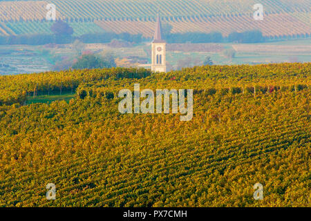 Vignobles pittoresques en couleurs de l'automne, Baden Württemberg. L'Allemagne. Banque D'Images