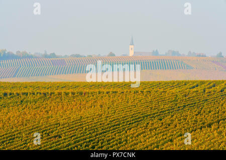 Vignobles pittoresques en couleurs de l'automne, Grunern village en arrière-plan, Bade-Wurtemberg, Allemagne. Banque D'Images