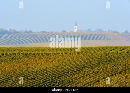 Vignobles pittoresques en couleurs de l'automne, Grunern village en arrière-plan, Bade-Wurtemberg, Allemagne. Banque D'Images