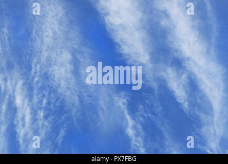 Les Cirrus vaporeux blanc formant dans une direction verticale contre un ciel bleu profond Banque D'Images