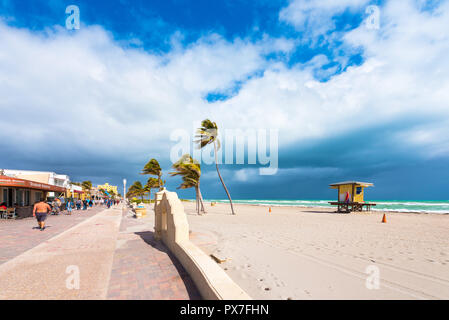 MIAMI, FLORIDE - le 21 janvier 2018 : vue d'une plage de sable fin avec palmiers. L'espace de copie pour le texte Banque D'Images