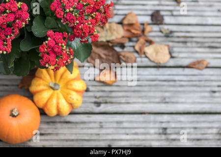 Concept d'automne, l'Halloween Concept, maquette, flatlay pumpkins les feuilles qui tombent, terrasse en bois, une maquette de l'automne Banque D'Images