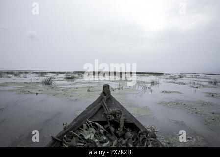 Satellite dans le Delta du Danube, la Roumanie, le Delta du Danube, fleuve Gheorge Banque D'Images