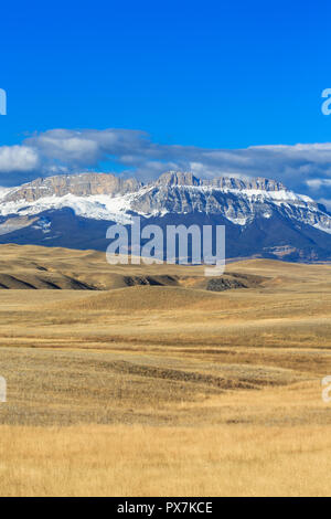Grande Prairie au-dessous de la crête de scie le long de la rocky mountain/près de augusta, Montana Banque D'Images