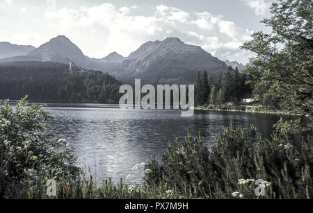 Lac Tschirmer, République Slovaque, Hohe Tatra, Strbske Pleso Banque D'Images