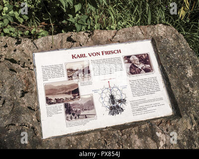 Karl von Frisch (1886-1982), langue de l'abeille, l'Autriche, Salzbourg, Salzkammergut, St Gilgen Banque D'Images