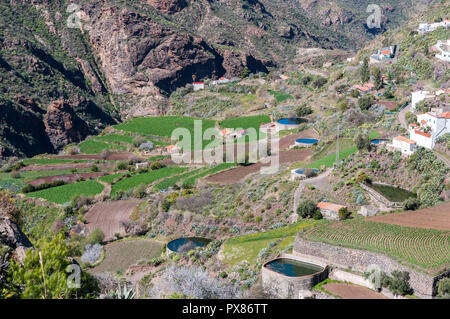 Les étangs d'irrigation en terrasses. Photo prise dans la Ville de Tejeda, dans l'intérieur de l'île de Gran Canaria, Îles Canaries, Espagne Banque D'Images
