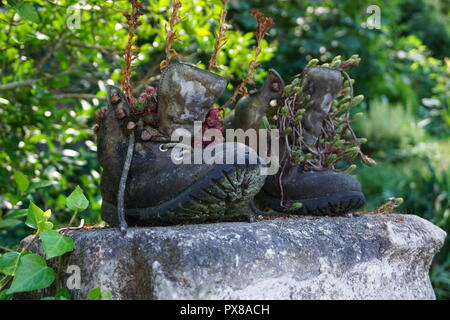 Ancien utilisé comme des bottes de randonnée de fleurs de cactus sur un mur de pierre dans le pays Banque D'Images