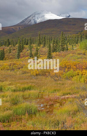 Voir de la neige a couvert la Montagne de visée à l'automne de l'autoroute de l'Alaska Glenn Banque D'Images