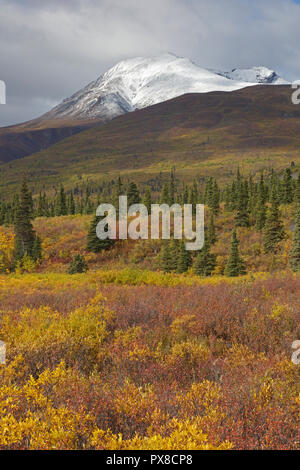 Voir de la neige a couvert la Montagne de visée à l'automne de l'autoroute de l'Alaska Glenn Banque D'Images