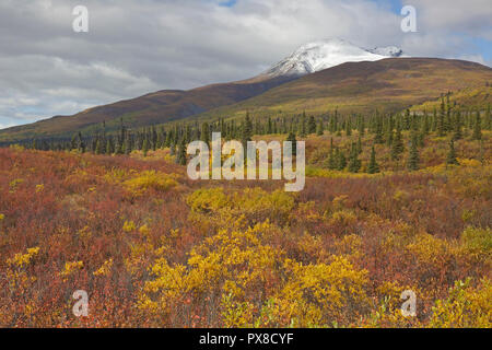 Voir de la neige a couvert la Montagne de visée à l'automne de l'autoroute de l'Alaska Glenn Banque D'Images