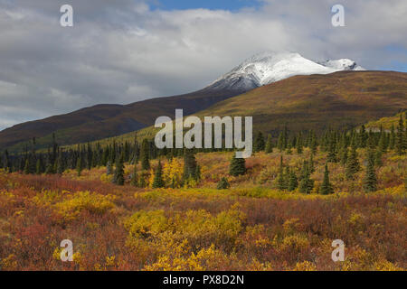 Voir de la neige a couvert la Montagne de visée à l'automne de l'autoroute de l'Alaska Glenn Banque D'Images