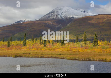 Voir de la neige a couvert la Montagne de visée à l'automne de l'autoroute de l'Alaska Glenn Banque D'Images