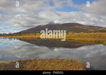 Voir de la neige a couvert la Montagne de visée à l'automne de l'autoroute de l'Alaska Glenn Banque D'Images