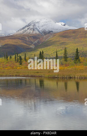 Voir de la neige a couvert la Montagne de visée à l'automne de l'autoroute de l'Alaska Glenn Banque D'Images