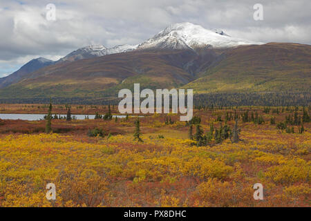 Voir de la neige a couvert la Montagne de visée à l'automne de l'autoroute de l'Alaska Glenn Banque D'Images