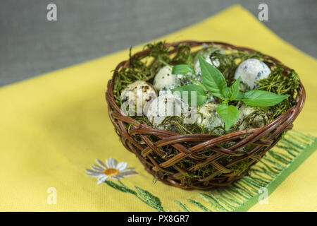 Panier en osier couché dans la mousse verte des oeufs de cailles sur tissu jaune serviette. Banque D'Images