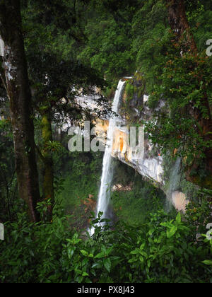 Yumbilla cascade, Chachapoyas, Pérou Banque D'Images