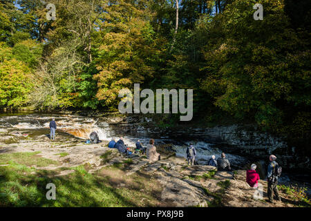 En attente de la Salmon River, de sauter, de Ribble Stainforth, Yorkshire Dales. Banque D'Images