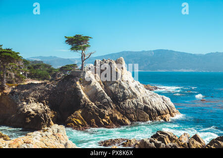 Vue de carte postale classique de fameux Lone Cypress, un repère sur une colline de granit au large de la Californie's scenic 17-Mile Drive dans la région de Pebble Beach Gated communauté o Banque D'Images