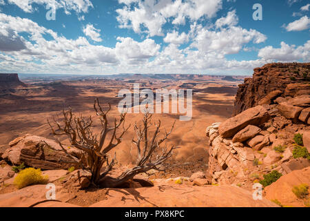 Donnent sur la rivière Verte pittoresque avec des nuages et ciel bleu sur une belle journée ensoleillée dans le Parc National de Canyonlands, Utah, USA Banque D'Images