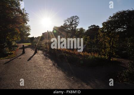 Scène d'automne ensoleillée dans un parc avec boarder victorienne à un pittoresque jardin de roses et de fleurs. La ligne des arbres l'arrière-plan Banque D'Images
