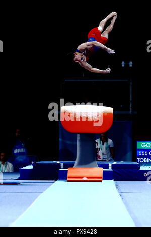 Buenos Aires, Argentine. 11Th Oct, 2018. L'Ambiance shot : gymnastique artistique finale concours général individuel au cours de Buenos Aires 2018 Jeux Olympiques de la jeunesse au Parc olympique de la jeunesse à Buenos Aires, Argentine . Credit : Naoki Nishimura/AFLO SPORT/Alamy Live News Banque D'Images